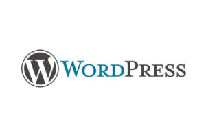 2560px-WordPress_logo.svg copy